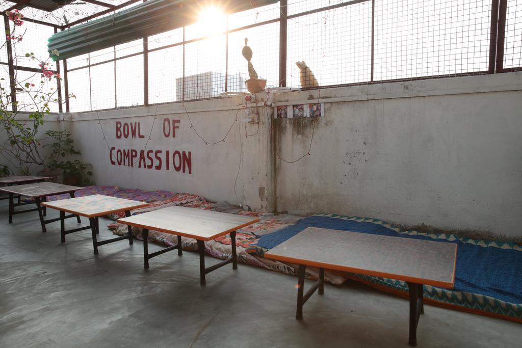 Somit Paying Guest House Varanasi Exteriör bild